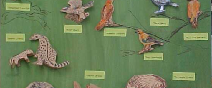 Biodiversitat i evolució